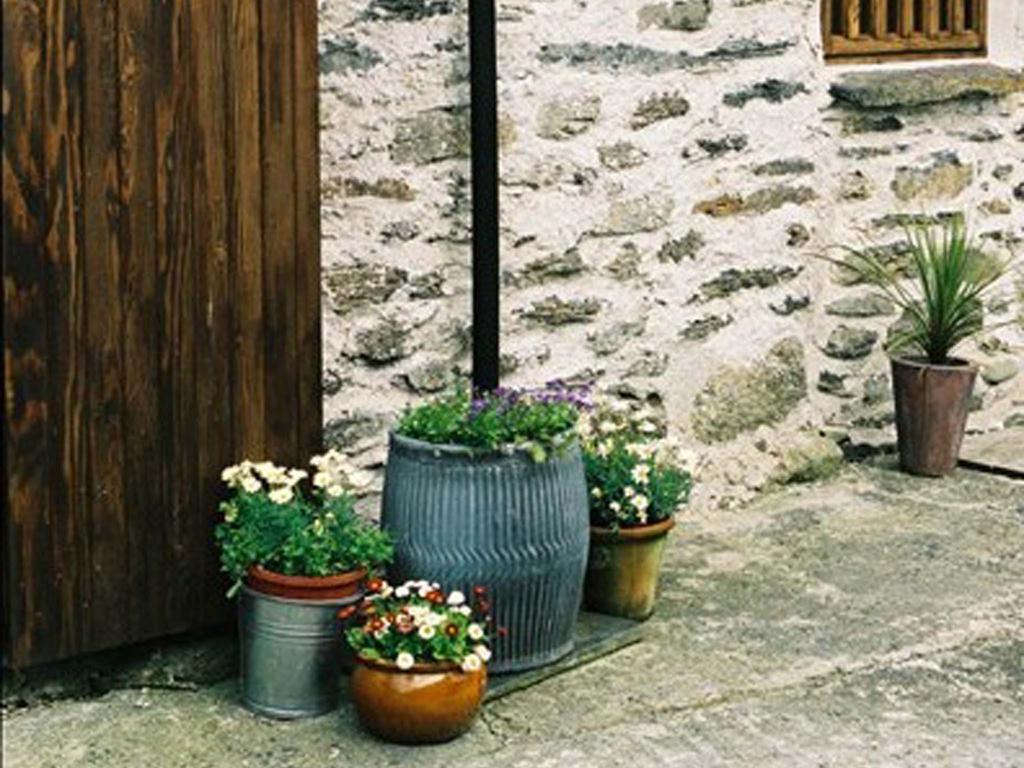 Plasglasgwm Betws-y-Coed Kamer foto